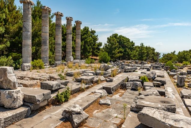 Tur la Priene, Milet și Didyma din Kusadasi